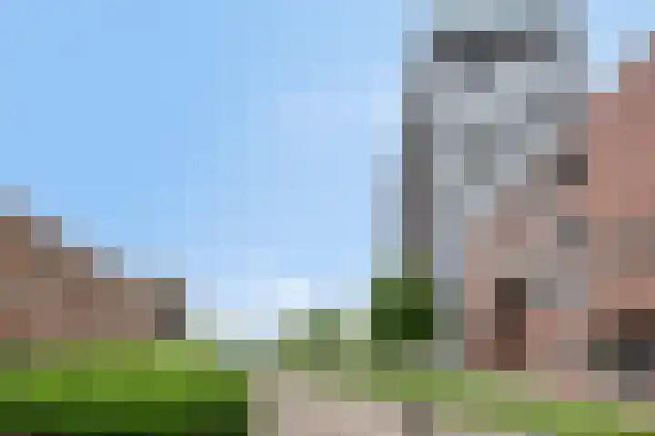Het Hout 109 Groningen thumbnail 42