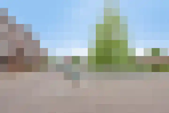 Het Hout 109 Groningen thumbnail 44