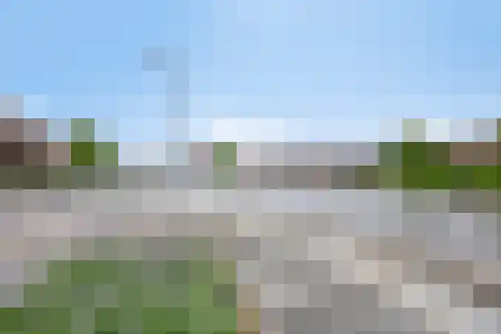 Het Hout 109 Groningen thumbnail 6