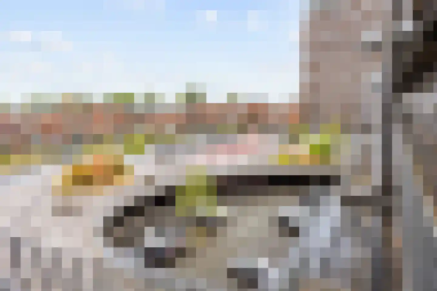 Het Hout 111 Groningen thumbnail 32