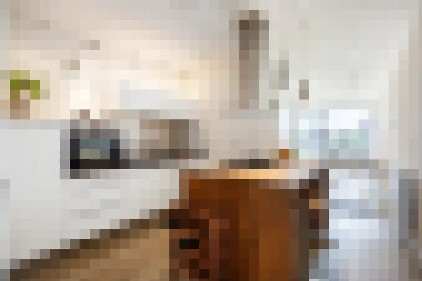 Het Hout 111 Groningen thumbnail 7