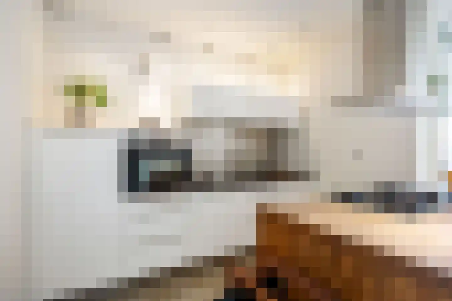 Het Hout 111 Groningen thumbnail 8