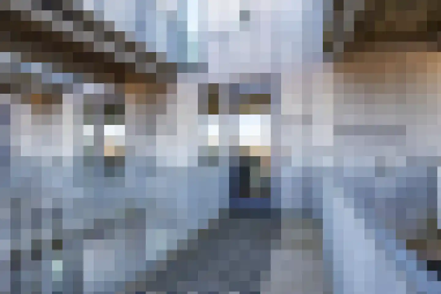 Het Hout 117 Groningen thumbnail 14
