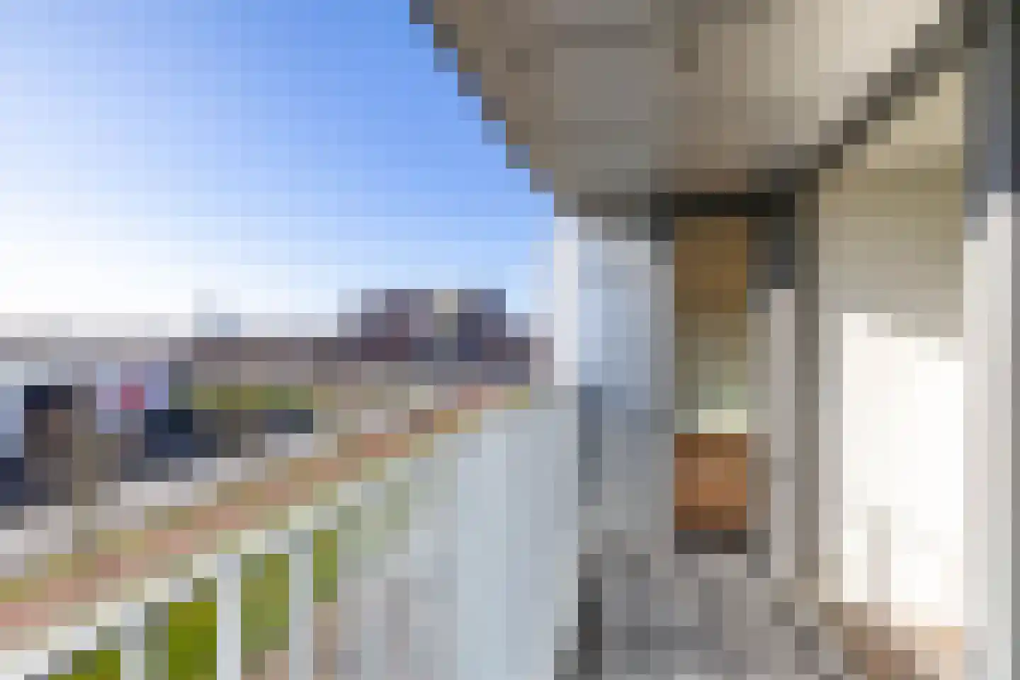 Het Hout 117 Groningen thumbnail 28