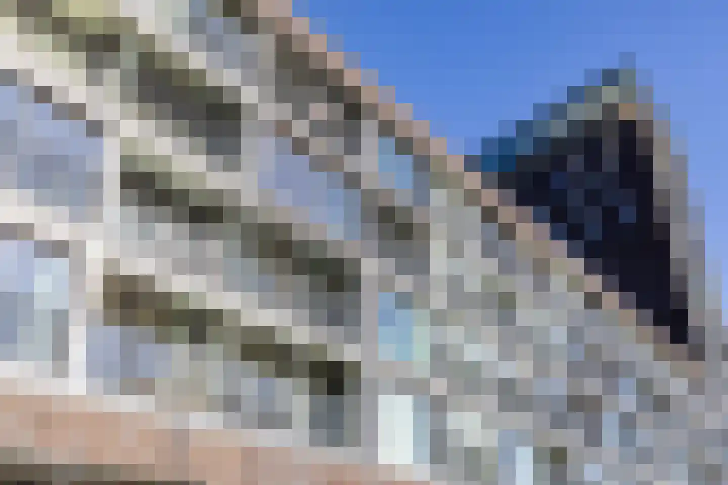 Het Hout 117 Groningen thumbnail 9