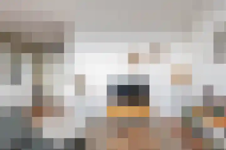 Het Hout 126 Groningen thumbnail 19