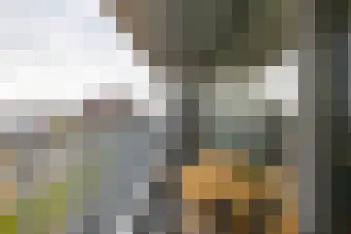 Het Hout 126 Groningen thumbnail 22