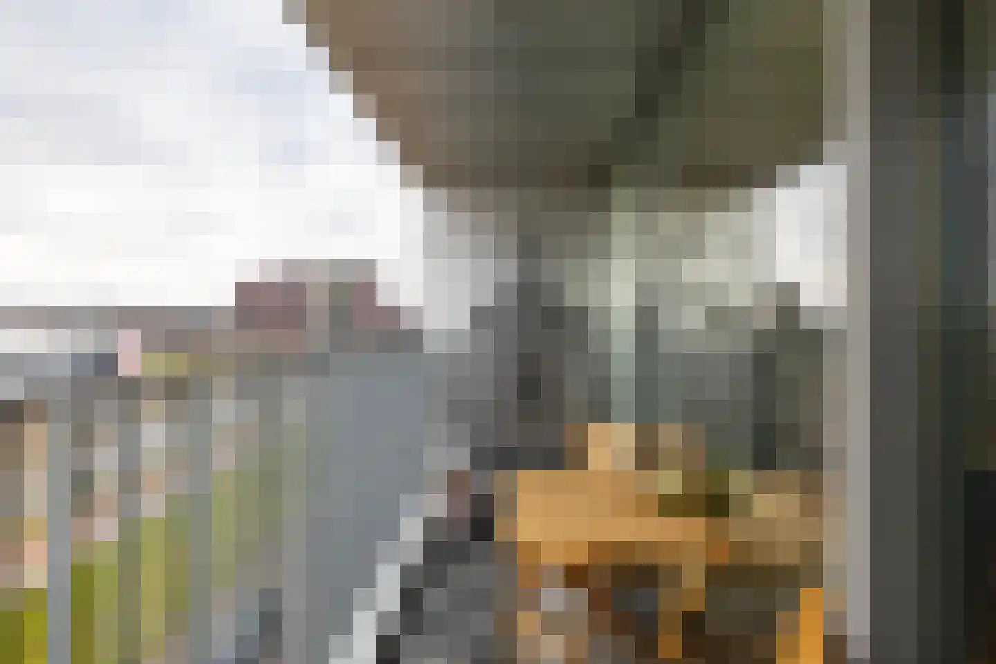 Het Hout 126 Groningen thumbnail 22