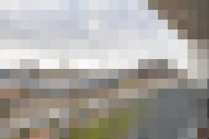 Het Hout 126 Groningen thumbnail 23