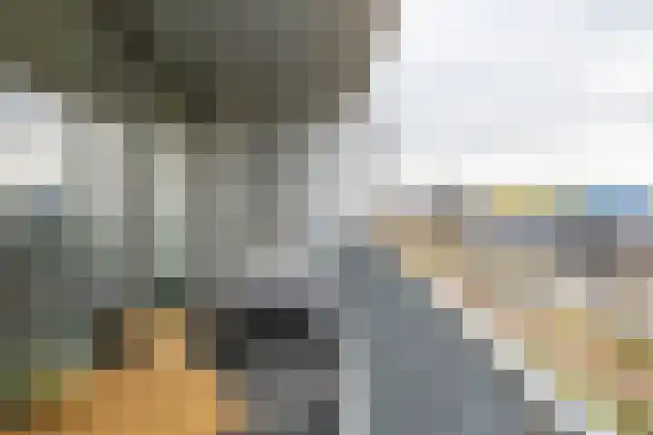 Het Hout 126 Groningen thumbnail 24