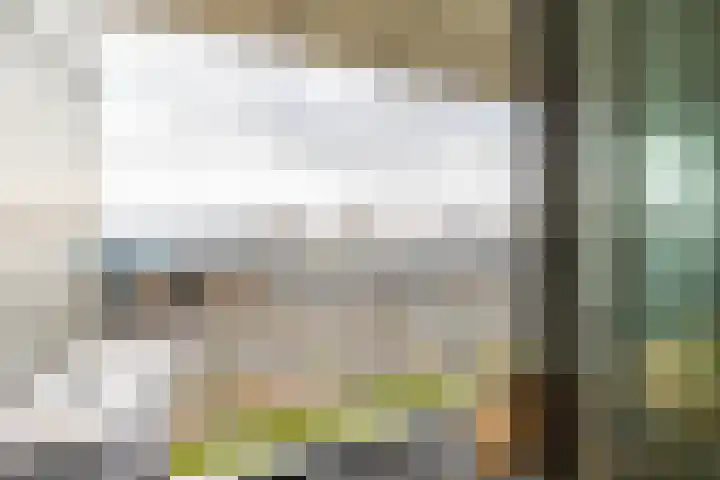 Het Hout 126 Groningen thumbnail 25