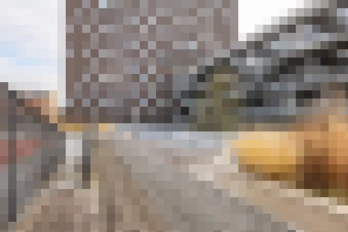 Het Hout 126 Groningen thumbnail 39