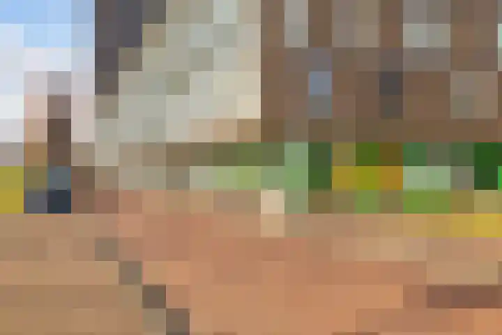 Het Hout 126 Groningen thumbnail 6