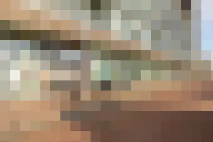 Het Hout 126 Groningen thumbnail 7