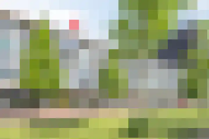 Het Hout 132 Groningen