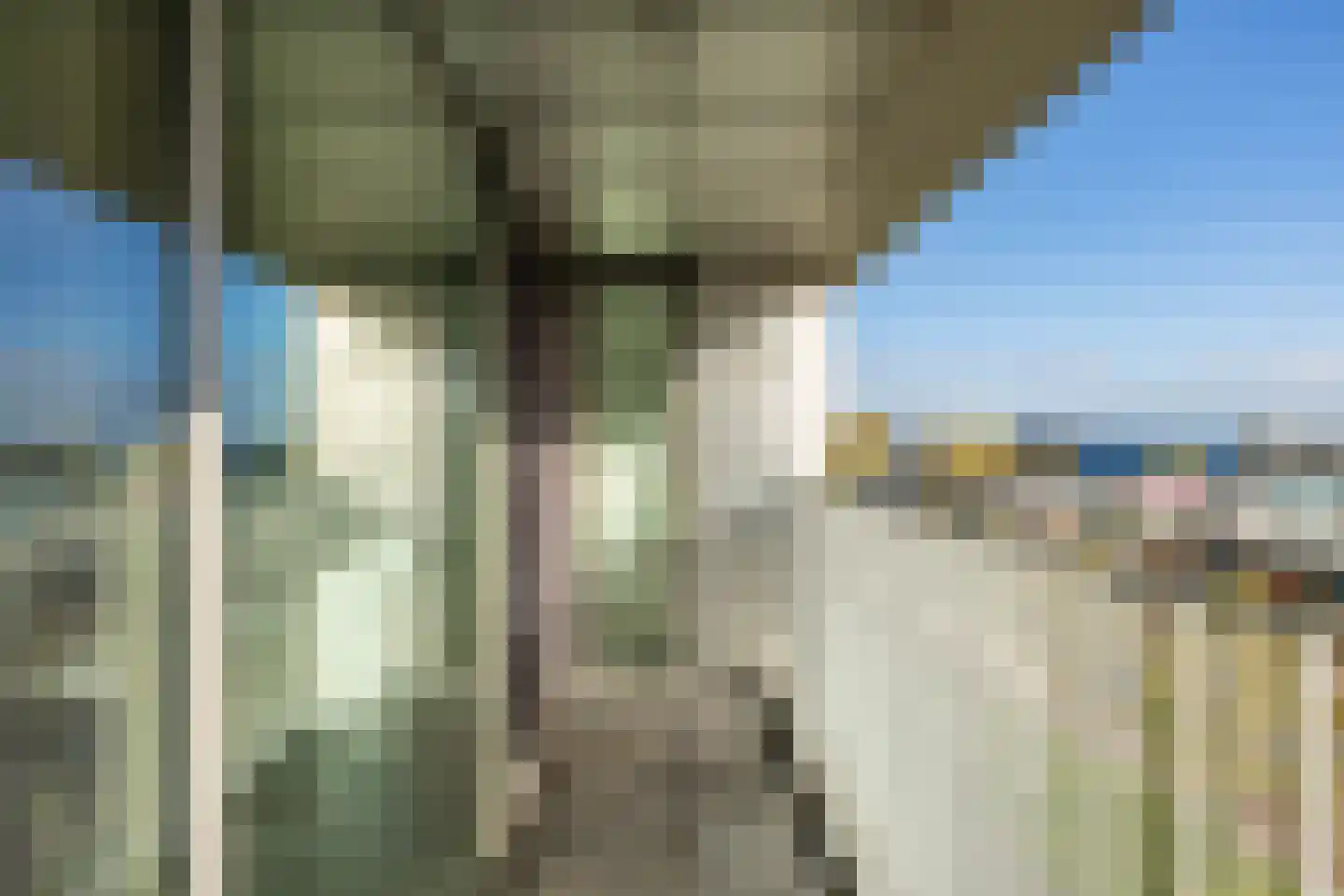 Het Hout 136 Groningen thumbnail 27