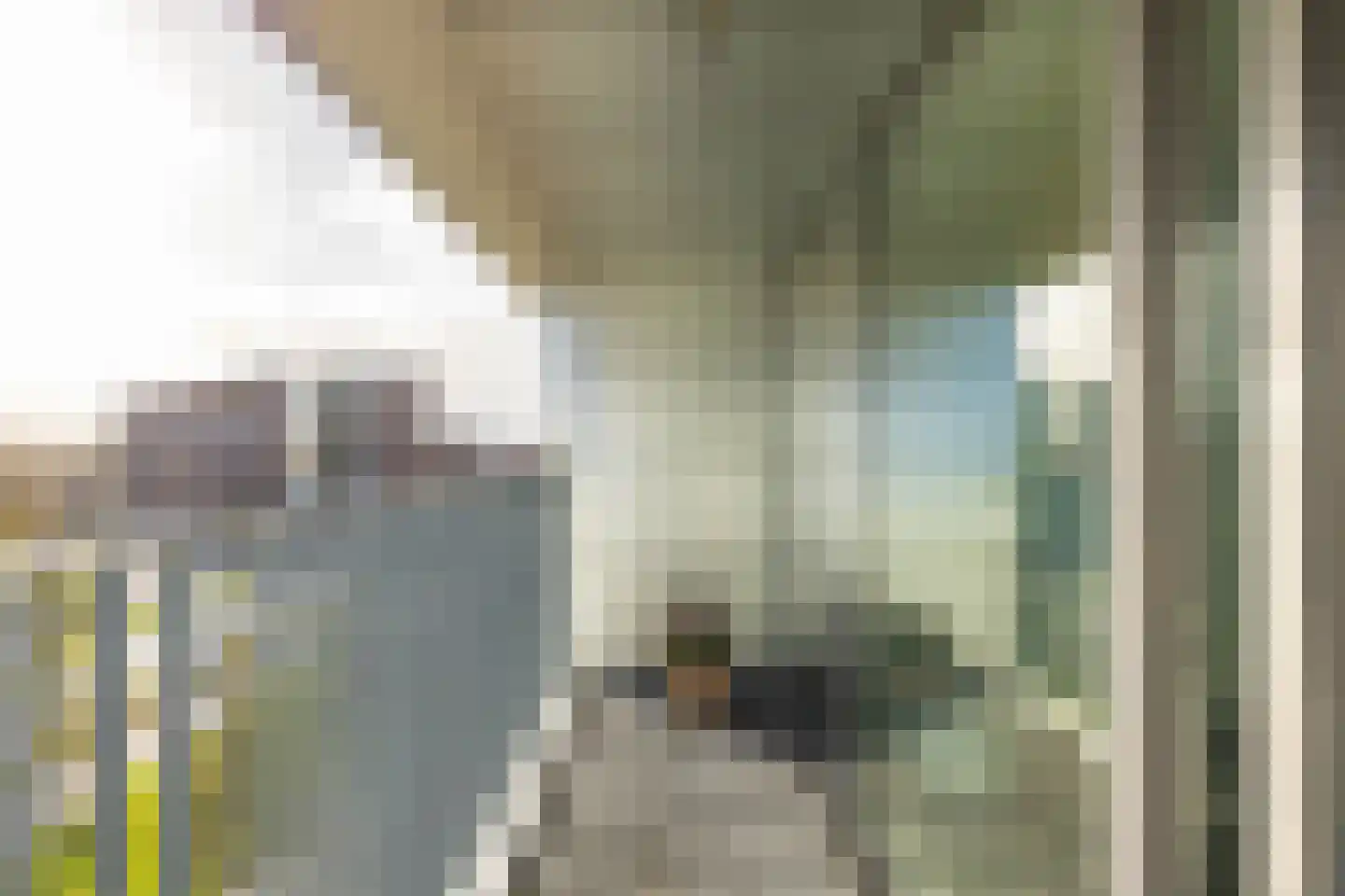 Het Hout 136 Groningen thumbnail 8