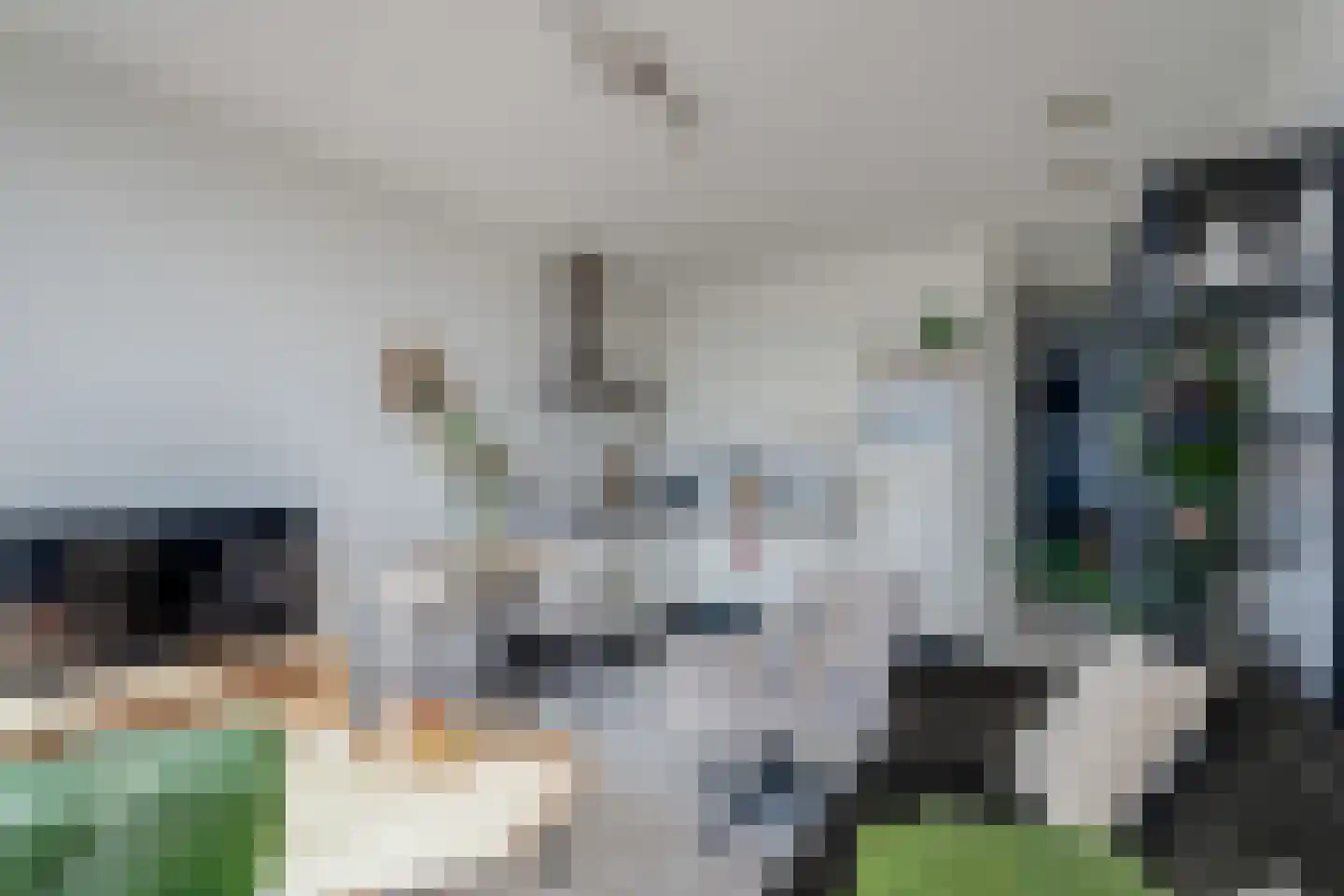 Het Hout 137 Groningen thumbnail 17