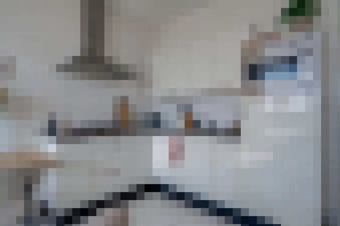 Het Hout 137 Groningen thumbnail 18