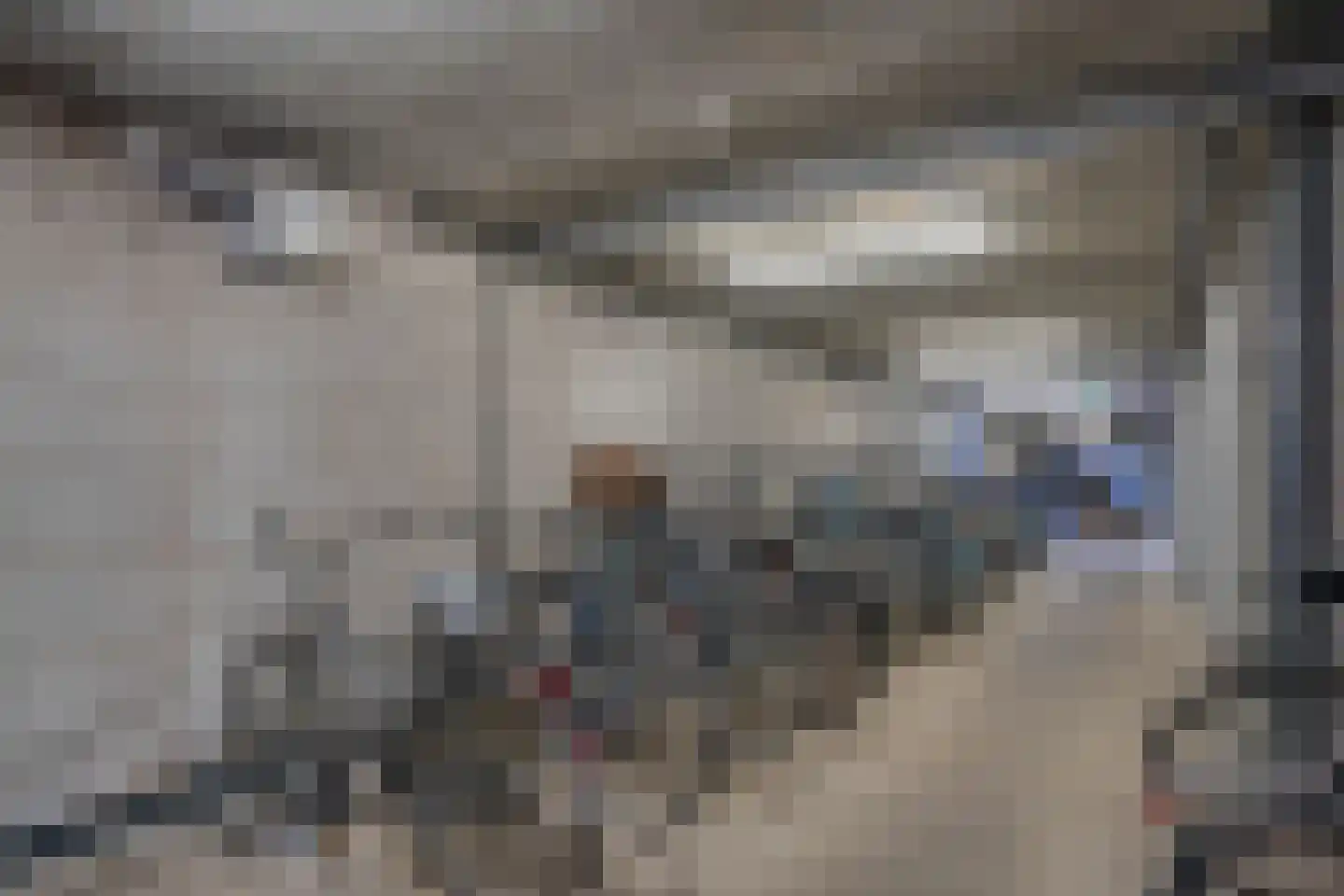 Het Hout 137 Groningen thumbnail 26