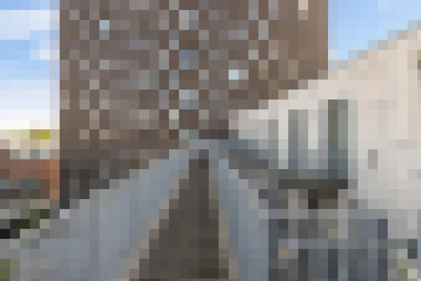 Het Hout 141 Groningen thumbnail 20