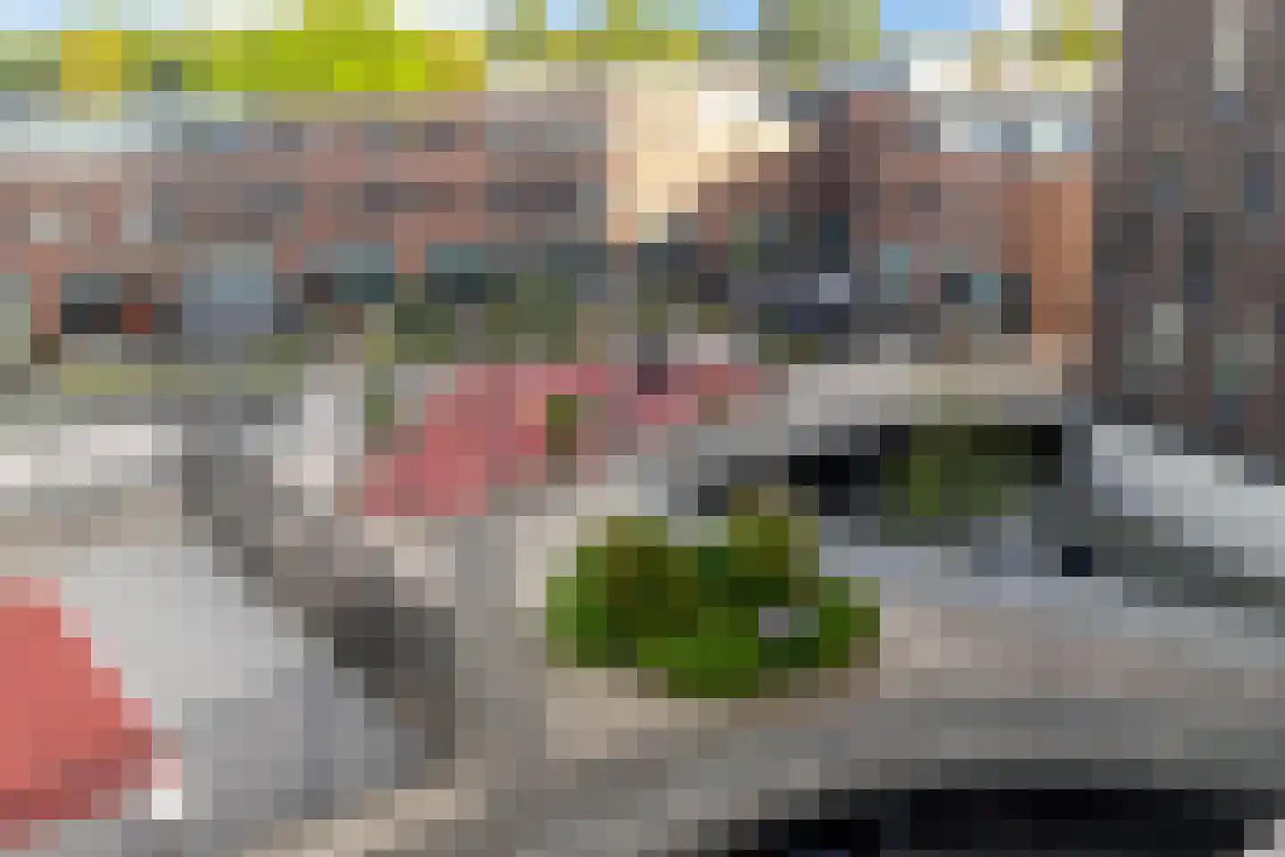 Het Hout 141 Groningen thumbnail 23