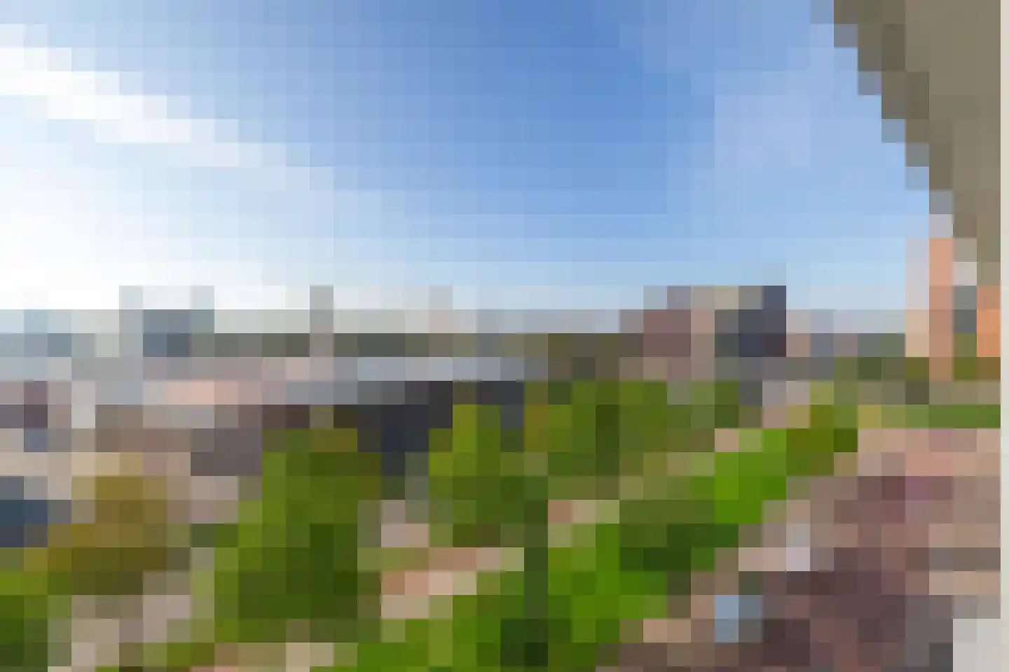 Het Hout 141 Groningen thumbnail 5