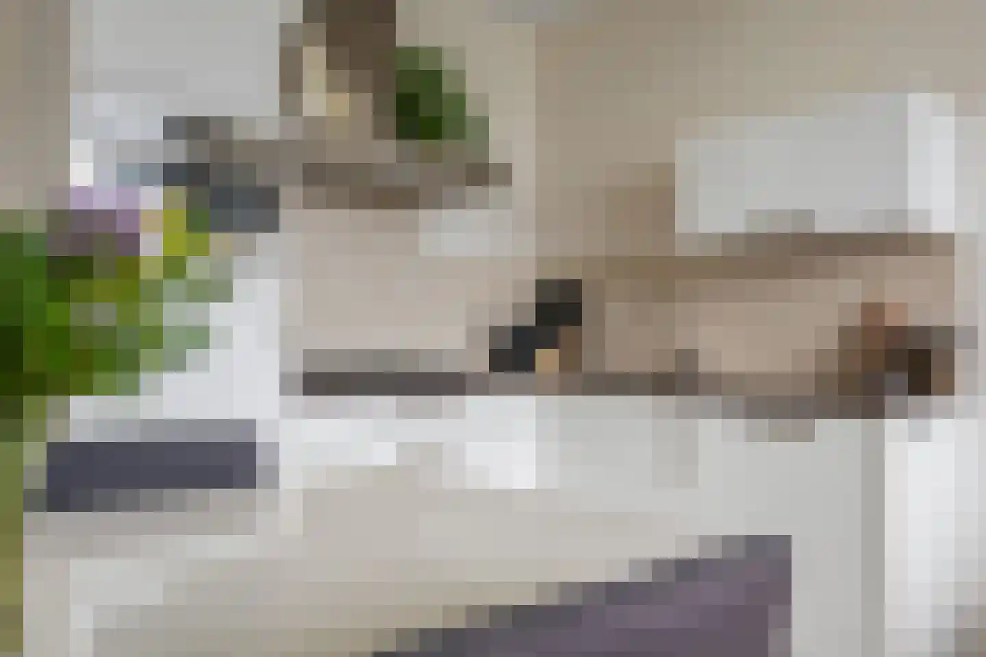 Het Hout 142 Groningen thumbnail 12