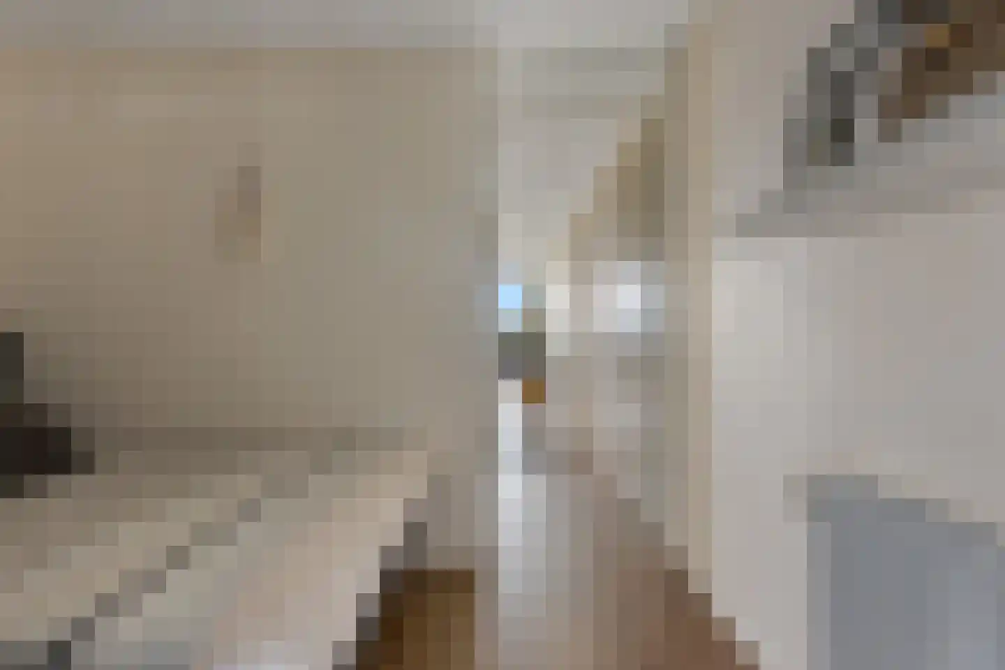 Het Hout 142 Groningen thumbnail 18