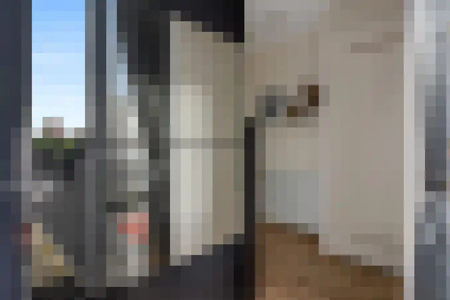 Het Hout 142 Groningen thumbnail 19