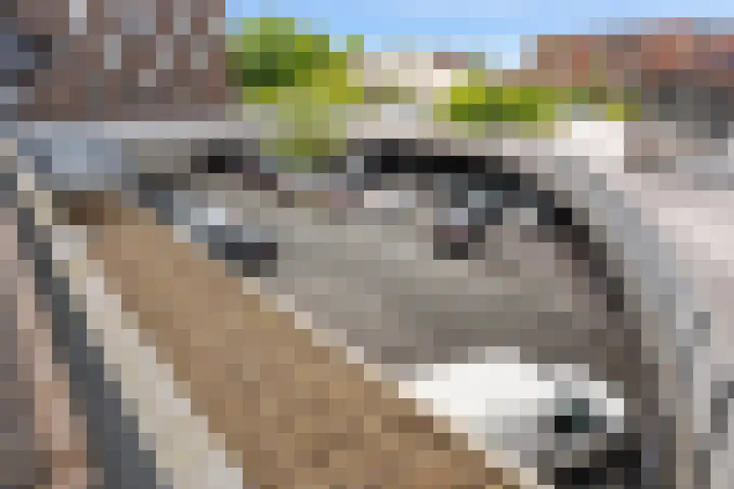 Het Hout 142 Groningen thumbnail 25