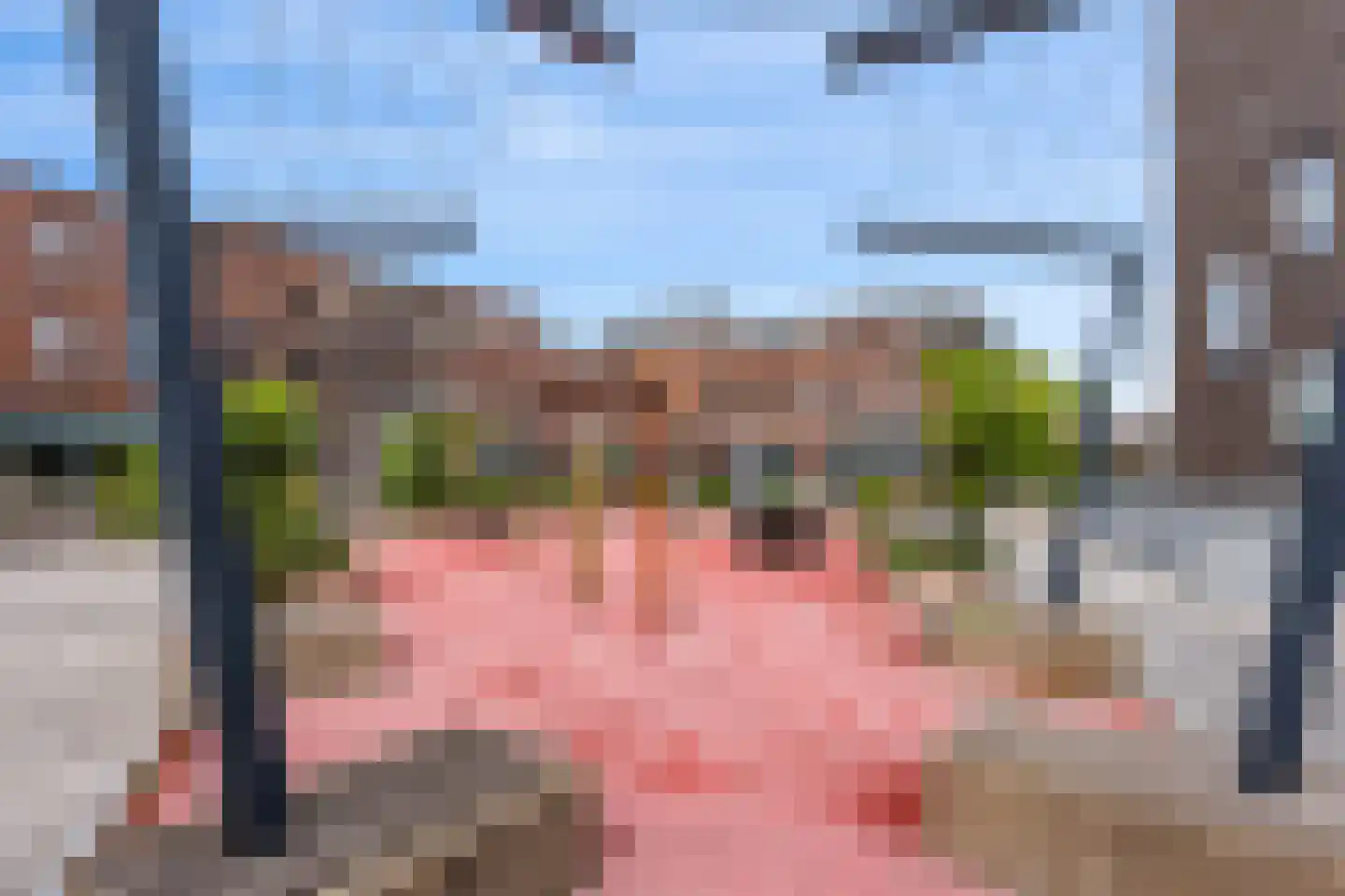 Het Hout 142 Groningen thumbnail 26