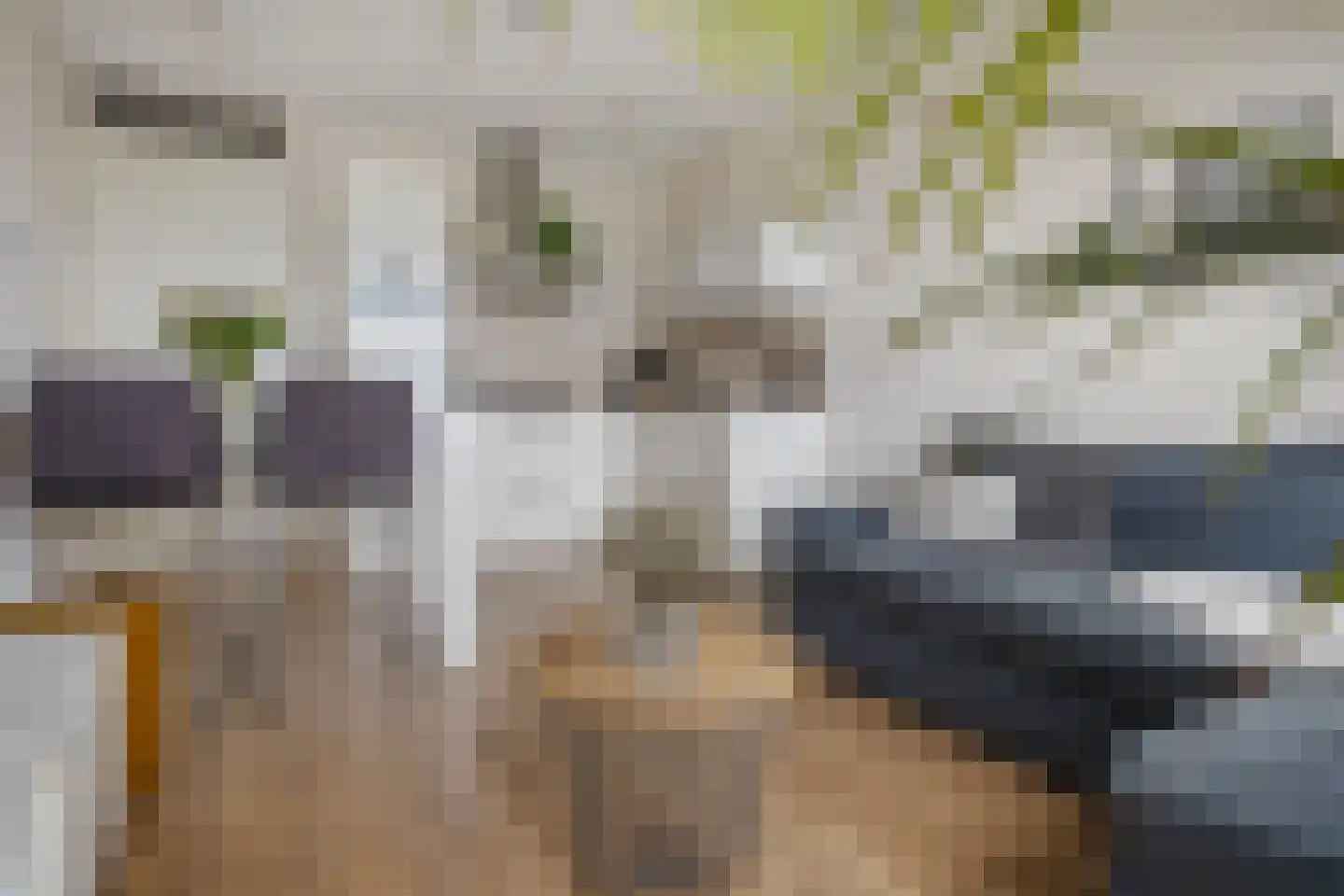Het Hout 142 Groningen thumbnail 8