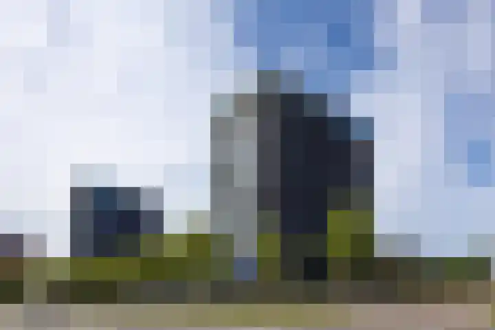 Het Hout 144 Groningen thumbnail 10