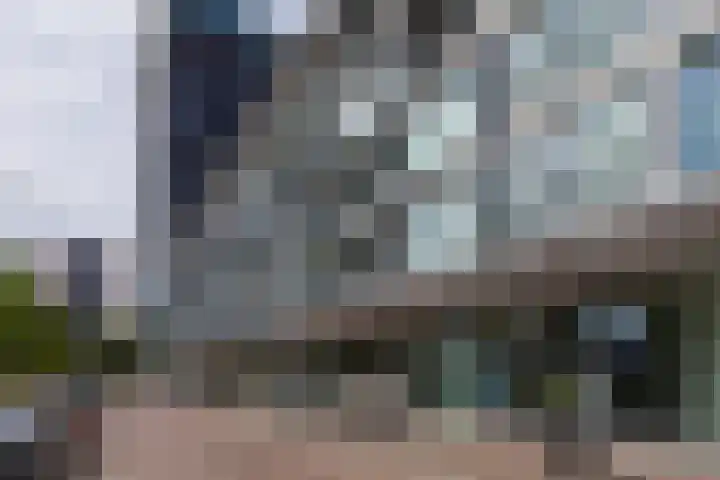 Het Hout 144 Groningen thumbnail 11