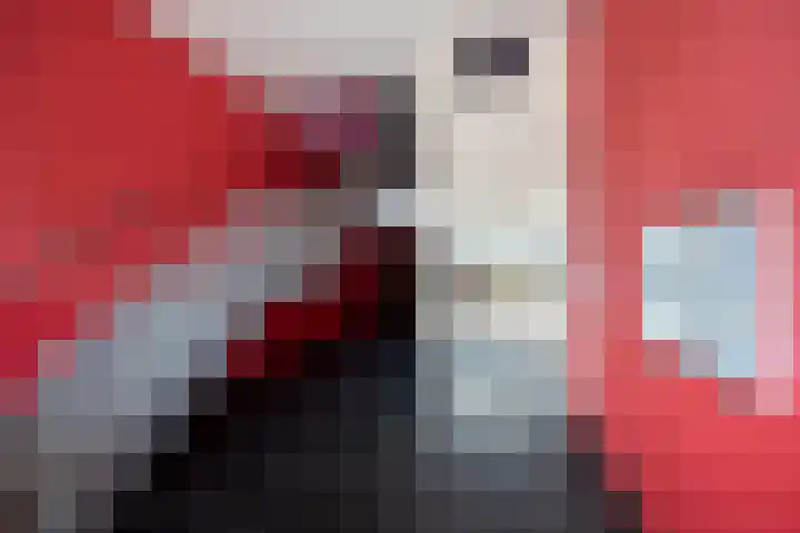 Het Hout 144 Groningen thumbnail 12