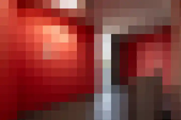 Het Hout 144 Groningen thumbnail 13