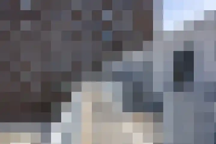 Het Hout 144 Groningen thumbnail 14