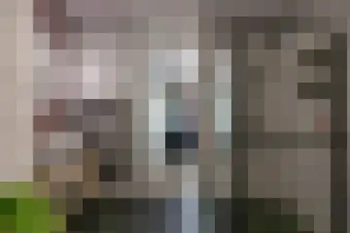 Het Hout 144 Groningen thumbnail 30