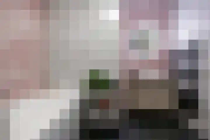 Het Hout 144 Groningen thumbnail 32
