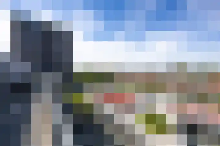 Het Hout 144 Groningen thumbnail 41