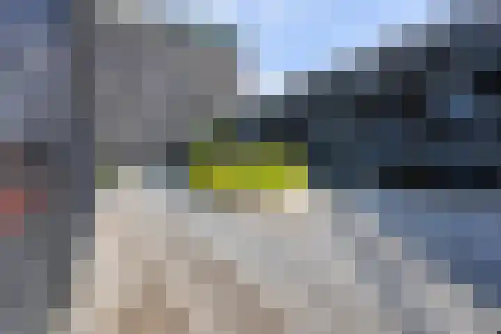 Het Hout 144 Groningen thumbnail 42