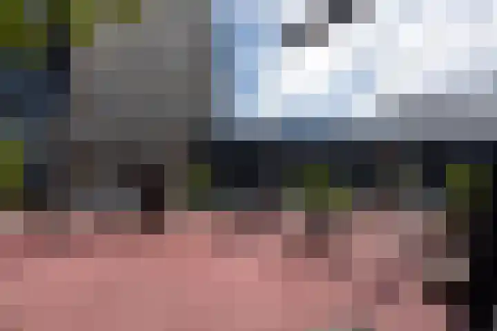Het Hout 144 Groningen thumbnail 46