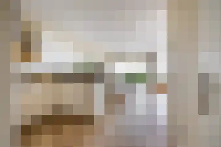 Het Hout 172 Groningen thumbnail 11