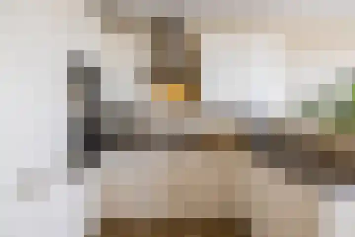 Het Hout 172 Groningen thumbnail 12