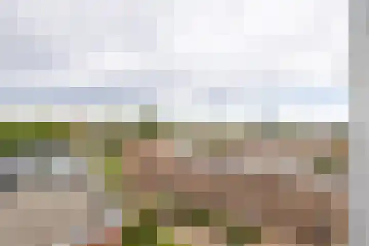 Het Hout 172 Groningen thumbnail 17