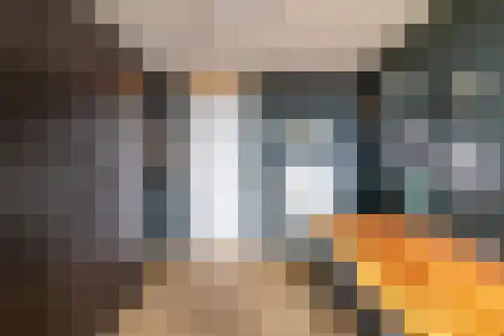 Het Hout 172 Groningen thumbnail 27