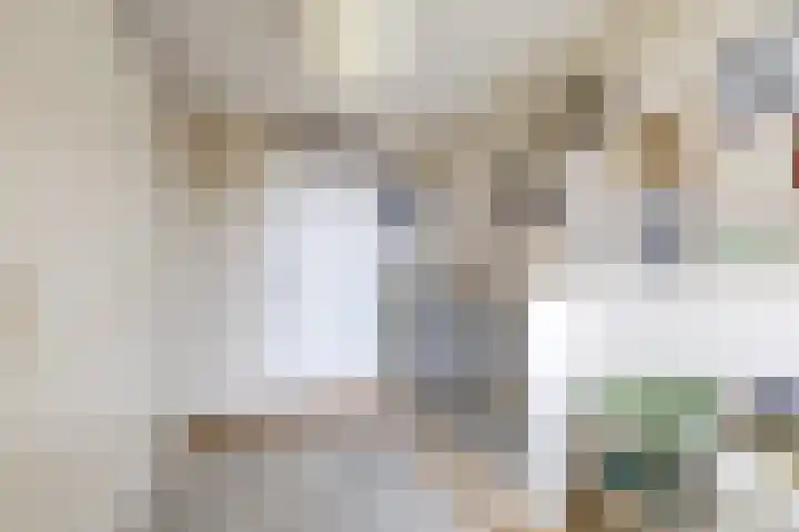 Het Hout 172 Groningen thumbnail 29