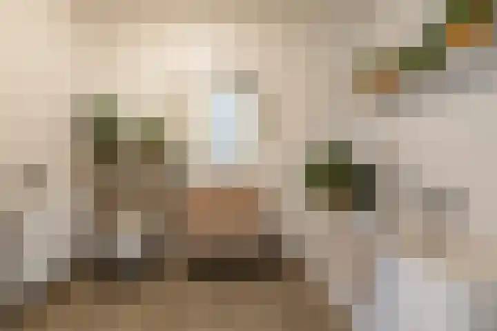 Het Hout 172 Groningen thumbnail 30