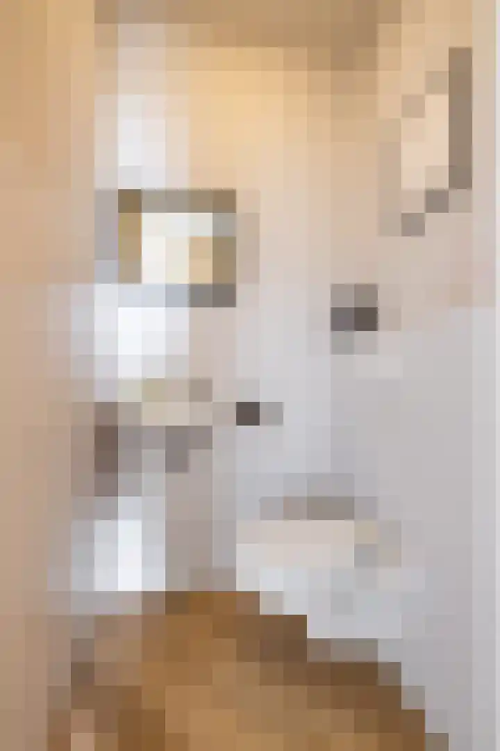 Het Hout 172 Groningen thumbnail 32
